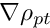 $ \nabla\rho_{pt}$