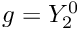 $g = Y_2^0$